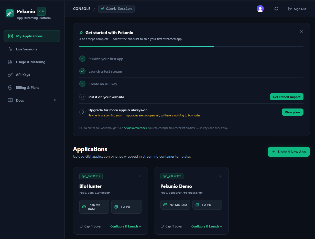 Developer console and application management